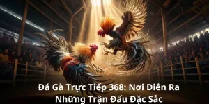 đá gà trực tiếp 368