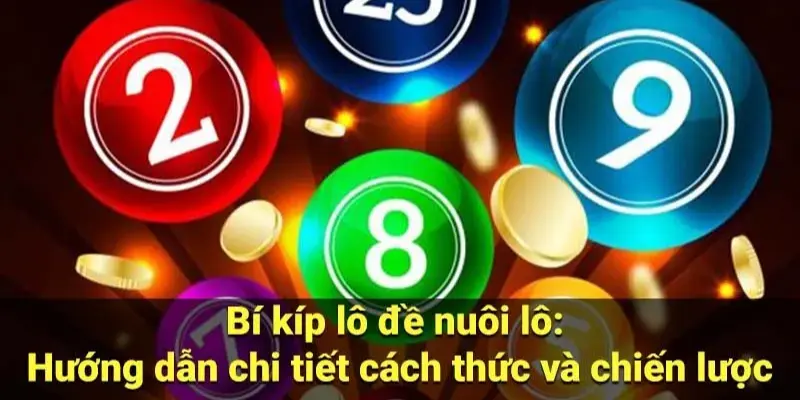 Kinh nghiệm bắt lô nuôi 247 hiệu quả từ những chuyên gia